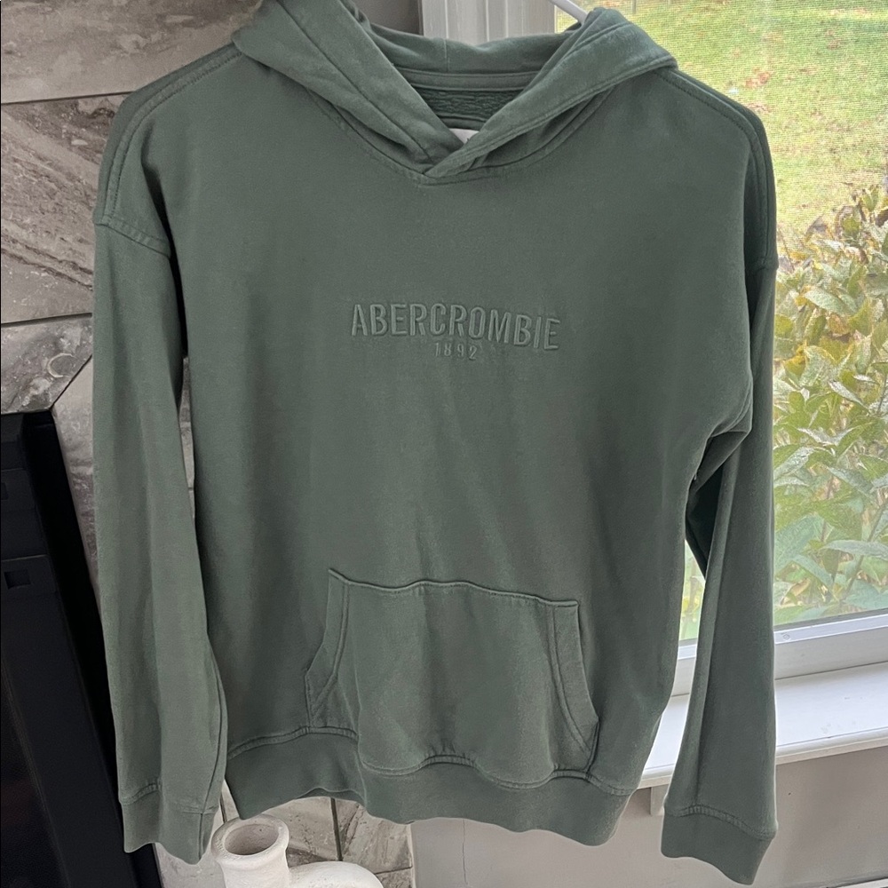 Abercrombie & Fitch Kids Sage Green Hoodie